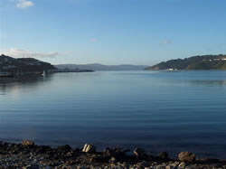 La baie de Wellington près de l'aéroport