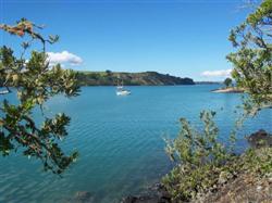 Les baies de Rangitoto en Nouvelle-Zélande