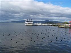 Le lac rotorua