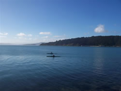 Du Canoë dans la baie de Wellington