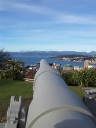Les canons de Wellington