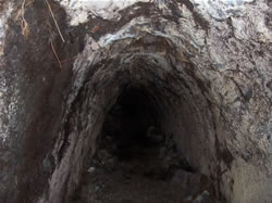 La caverne et la grotte de Rangitoto