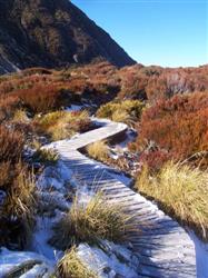 Chemin en bois sur le Mont Cook