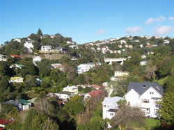 Les collines de Wellington