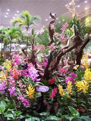 Les fleurs dans l'aéroport de Singapour