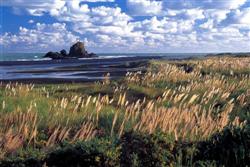 Great Barrier Island