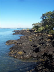 Visite de l'île de Rangitoto