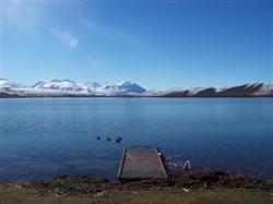 Le lac Alexandrina