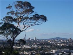 Le Mont Albert d'Auckland en Nouvelle-Zélande