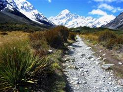 Le Mt Cook