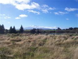 les plaines du Tongariro National Park 