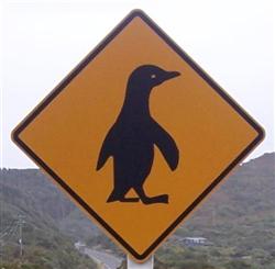 Le panneau du pinguin en Nouvelle-Zélande