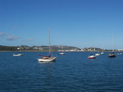 Les bateaux de baie près de l'aéroport de Wellington