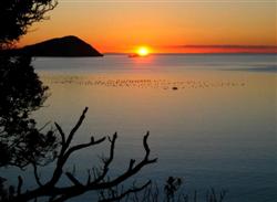 Parc a Moules dans le Coromandel