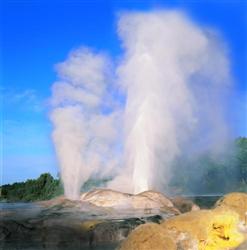 Le Pohutu Geyser à Rotorua