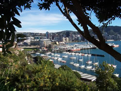 Le port de Wellington