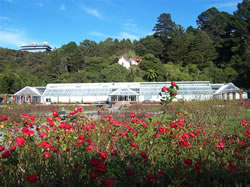 Le Botanic Garden de Wellington