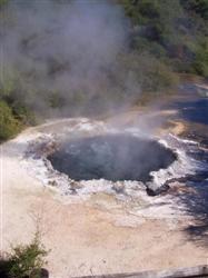 Ngararatuatara ou Cooking Pool à Rotorua