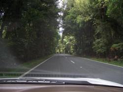 On roule à gauche en Nouvelle-Zélande