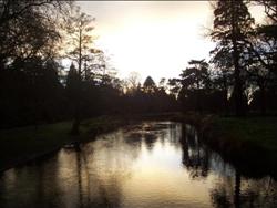 L'Avon rivière à Christchurch