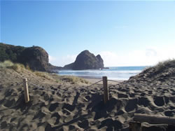 Le sable noir de Piha Beach