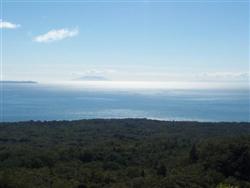 Le sommet de Rangitoto