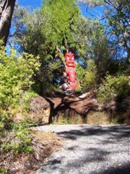 Une statue maori à Rotorua