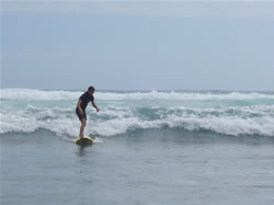 Surf à Piha Beach en Nouvelle-Zélande