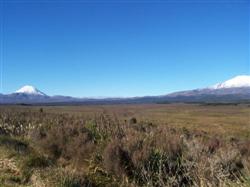 Le Ngauruhoe et le Ruapehu dans la plaine du Tongariro