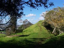 Le mont Albert à Auckland