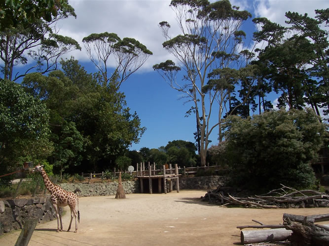 Le zoo auckland en nouvelle-zelande