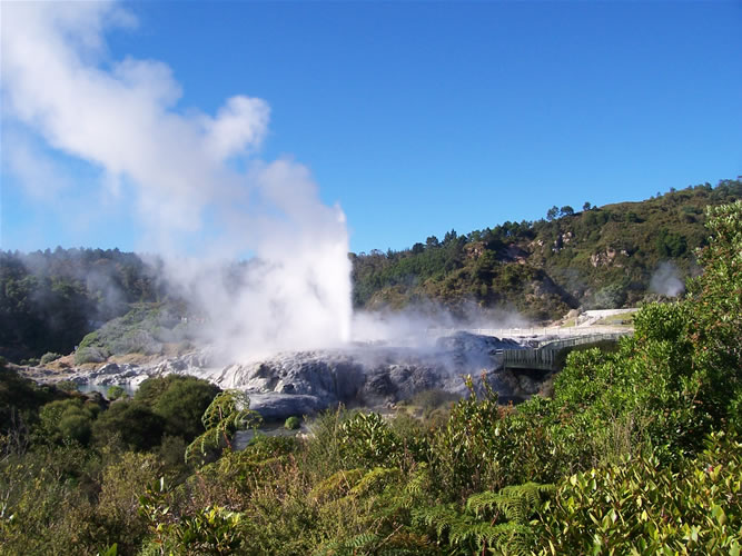 Le pohutu geyser de rotorua en Nouvelle-Zélande