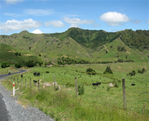 Le climat des collines du Nord de la Nouvelle-Zélande