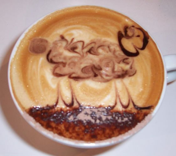 La photo d'un mouton avec du café