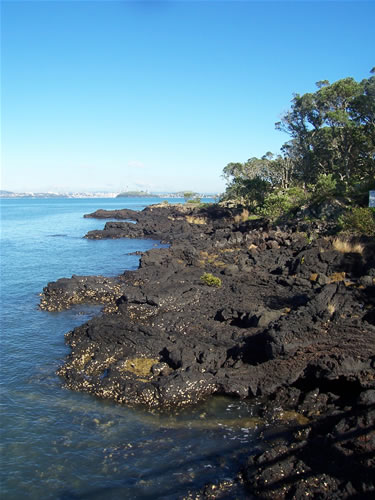 Visite de l'ile de rangitoto