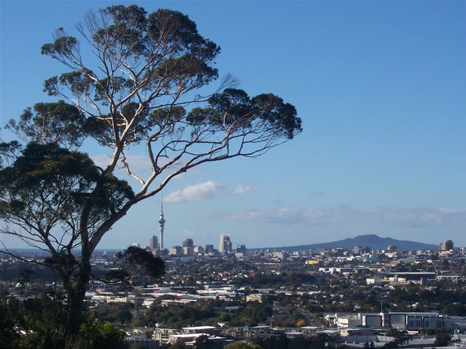 Le mont albert à auckland nouvelle-zelande