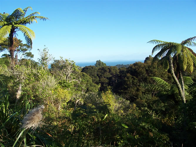 titirangi nouvelle-zelande