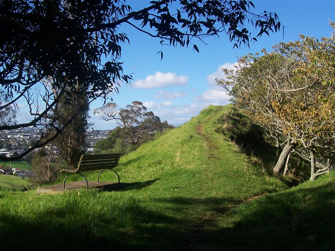 Le volcan mont albert à auckland