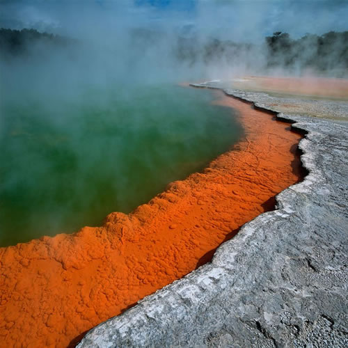 Champagne pool