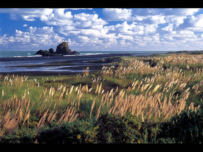 Great Barrier Island