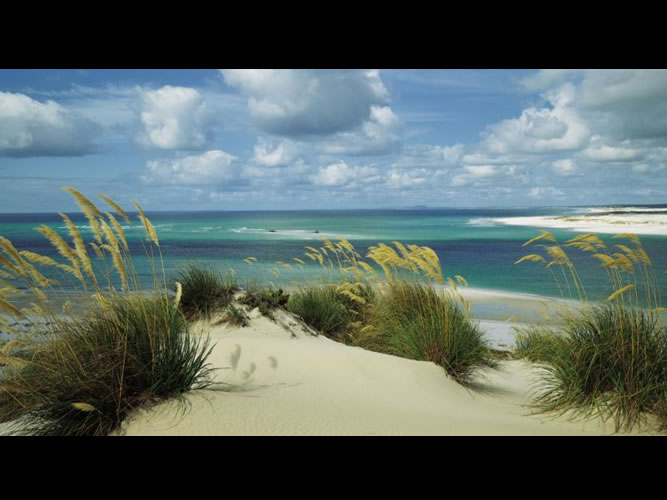 Whangamata Coromandel