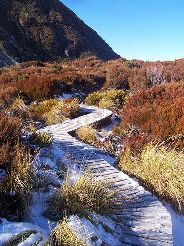 Le chemin du Mt Cook en Nouvelle-Zélande