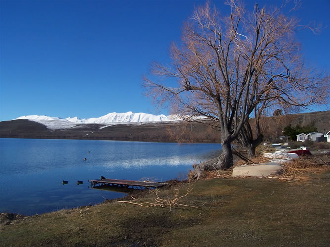 La photo du lac alexandrina près de tekapo