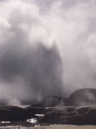 Les photos du pohutu geyser à Rotorua