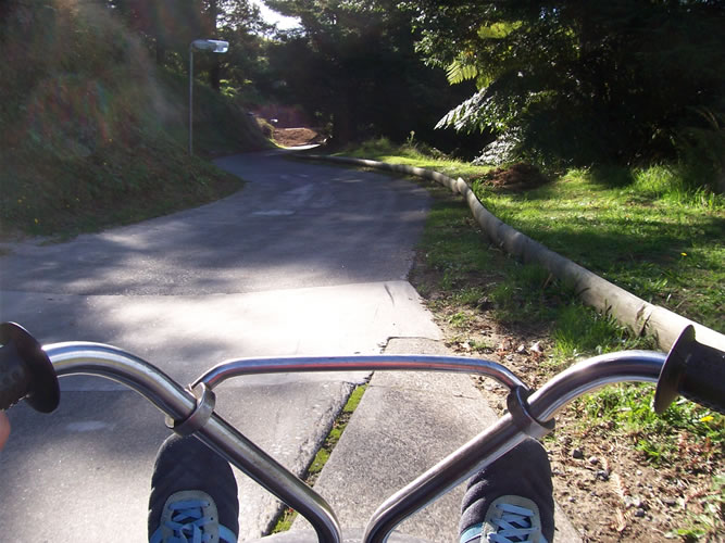 Tour de luge à rotorua