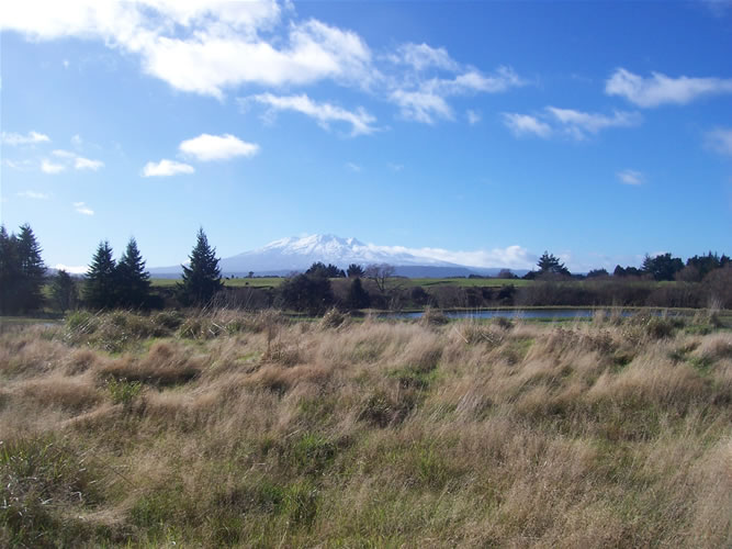 Le mont ruapehu dans les plaines de la nouvelle-zélande