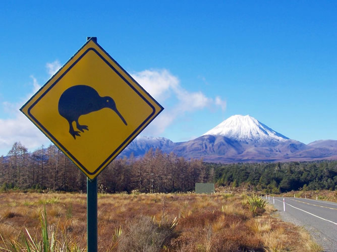 La photo su panneau du kiwi avec le Mt Ngauruhoe en arrière plan