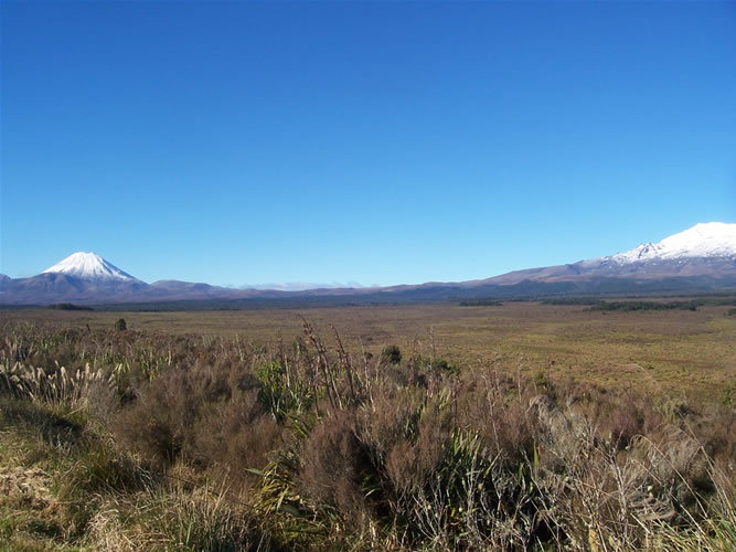 La plaine du Tongariro national park