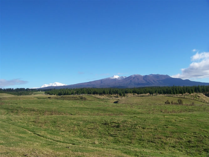 Les volcans Tongariro Ngauruhoe et Ruapehu vu du lac Taupo