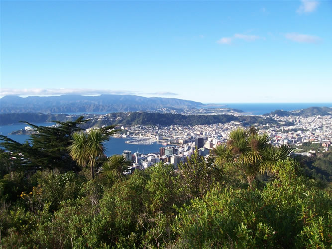 La colline town belt de wellington